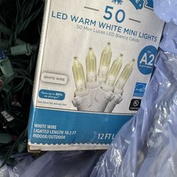 50 LED Warm Mini Lights 