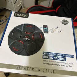 Wall Mounted Smart Bluetooth Boxing Machine 