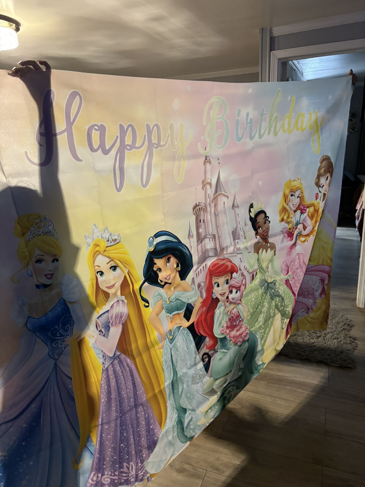 Princess Back Drop Super Big