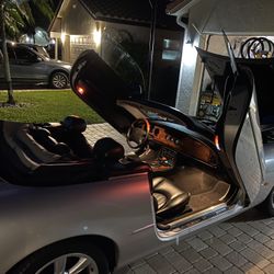 Jaguar 03