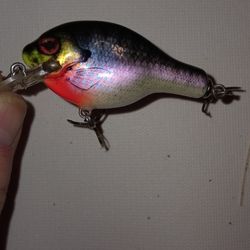 Bagleys Baby Bluegill Crankbait. 