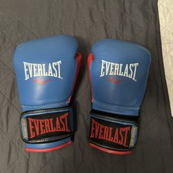 Everlast Powerlock Boxing Gloves