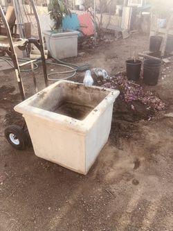 Plant Cement