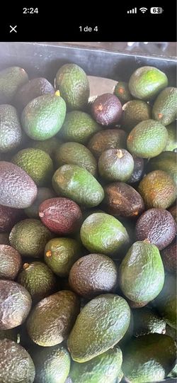 Fresh avocados in box