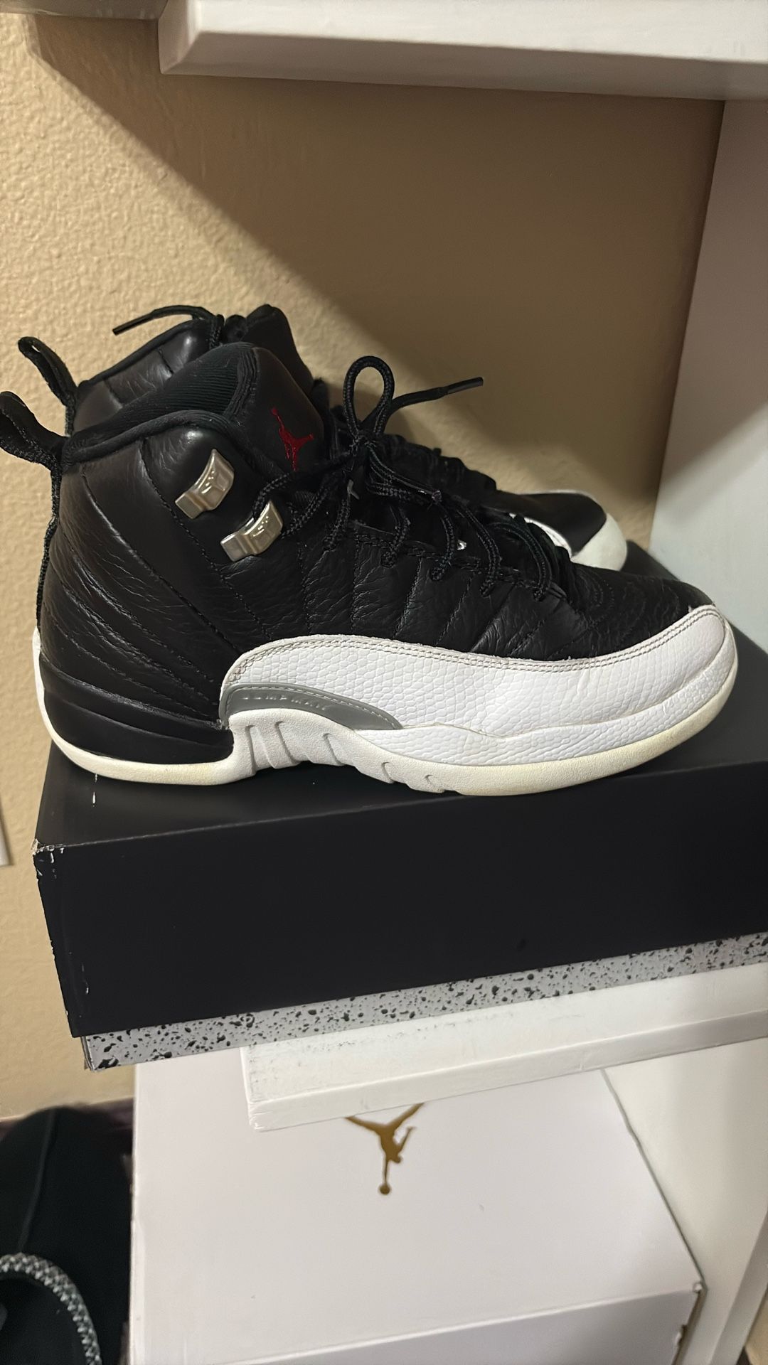 Jordan 12 Kids
