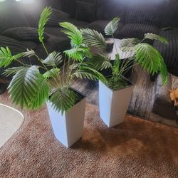 Fake Plants 