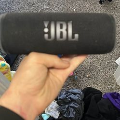 JBL Flip 6
