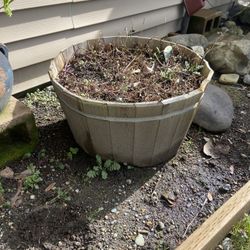 2 Wooden Cedar Wood Containers