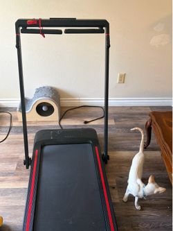 Working Walking Black Treadmill $10