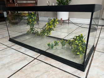 Reptile Tank