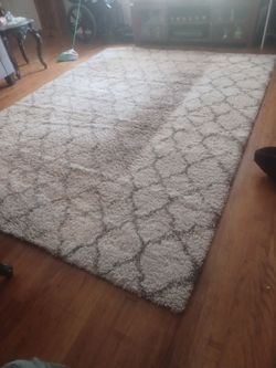 Polypropylene with Jute Backing, Rectangular Shape, Luxurious Frieze Pile, Easy Care, Living Room or Home Office Area Rug