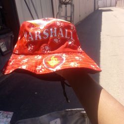 Used Catboy Costume 10.00 , Paw Patrol Hat 10.00, Robe  5.00