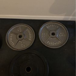 2- 45lbs Olympic Weights 