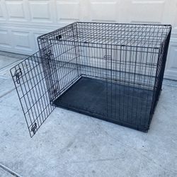 XXL crate dog