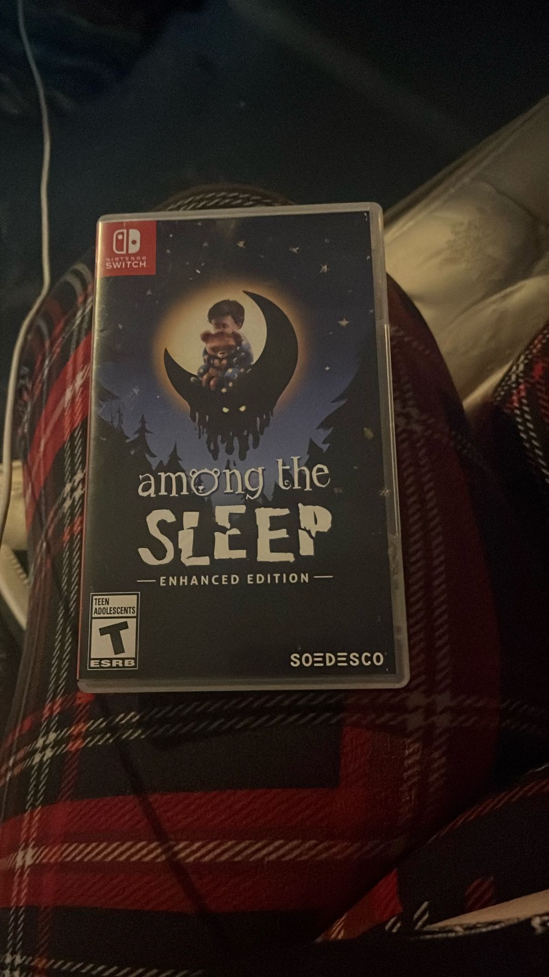 Among The Sleep