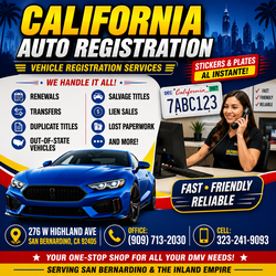 renewals, transfers, out of state, and more