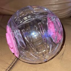Hamster Ball