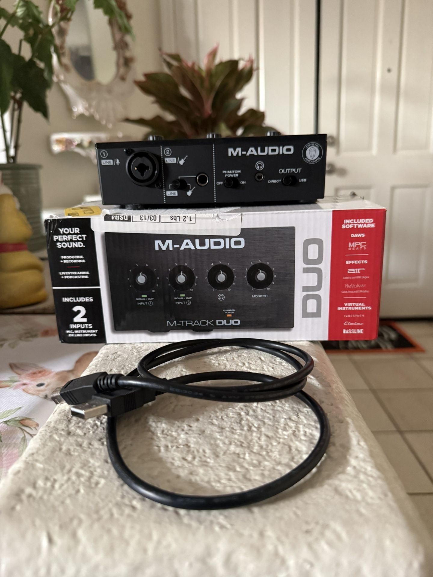 M-Audio M-Track Solo USB Interface (for microphones)