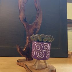 Plant Stand 