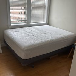 Queen bed + Box Frame X2