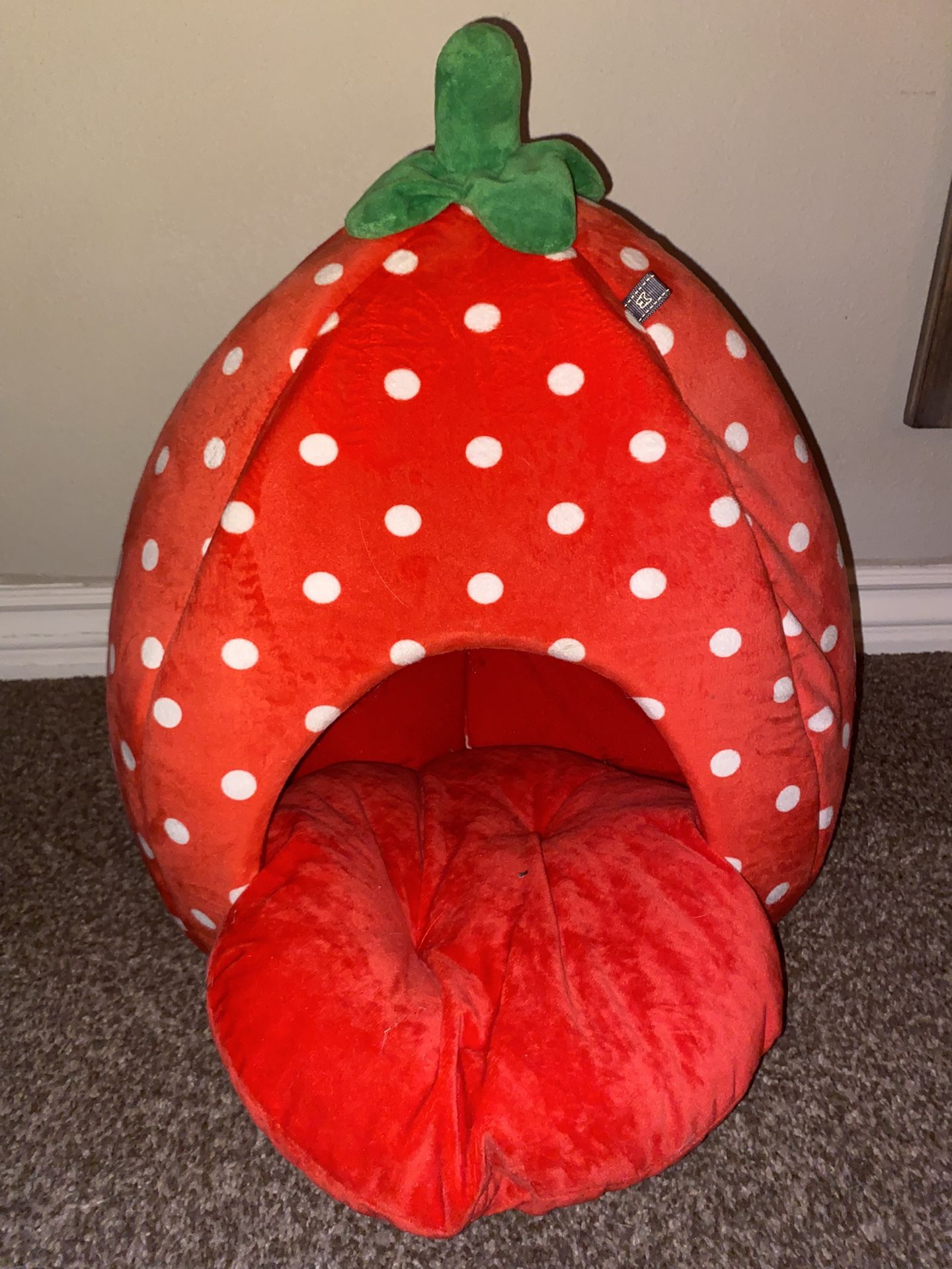 ANDOG Insta Fun Specialty Dog and Cat Bed Collection (Strawberry)