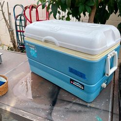 Excellent Condition, Different Sizes Coolers