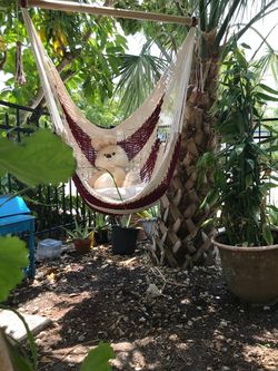 Handmade Hammock Chair/Hammock Swing 100% Cotton 39" Cedar bar handturned in Burgundy Red and Off-White