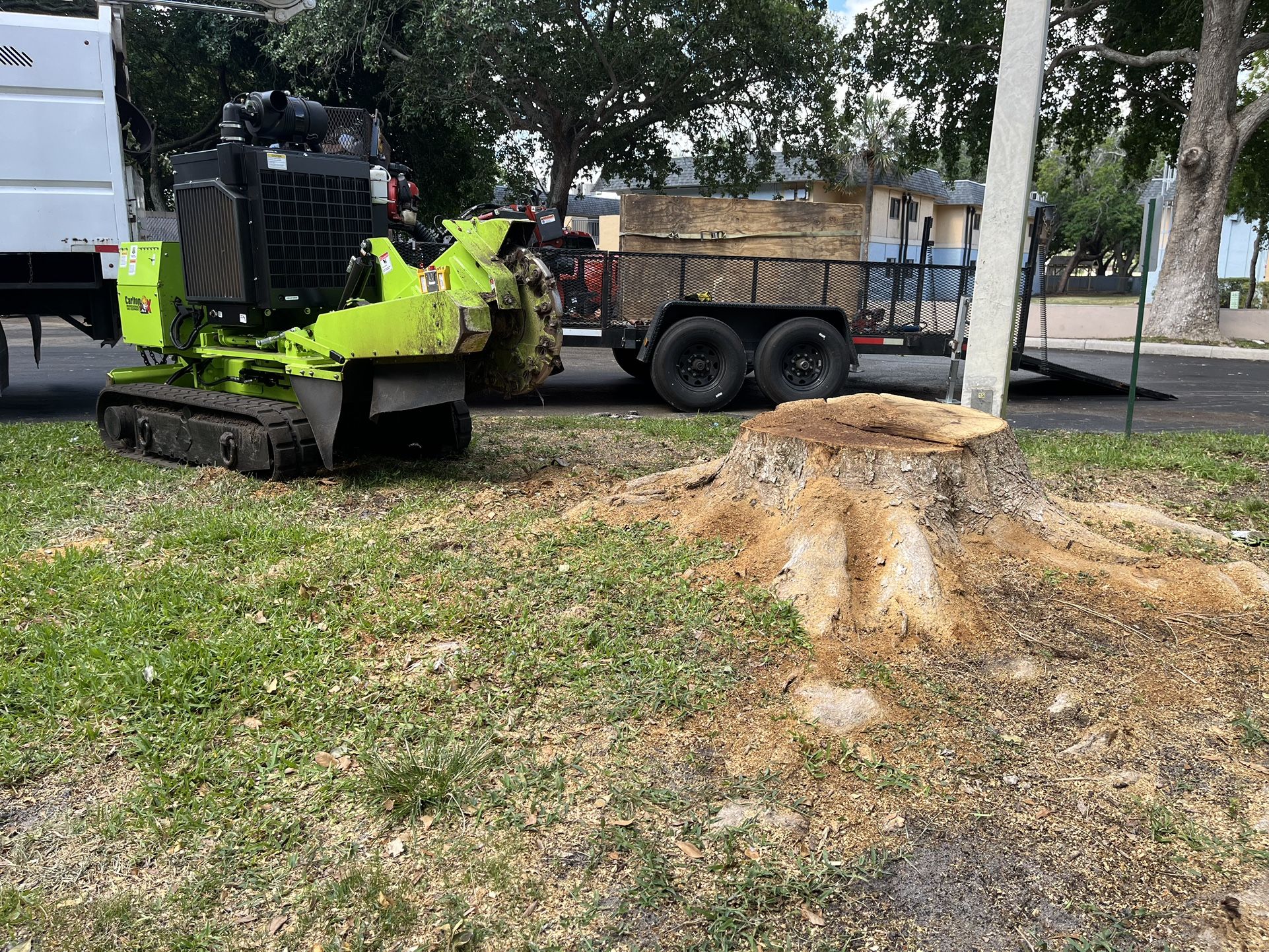 Carlton Stump Grinding