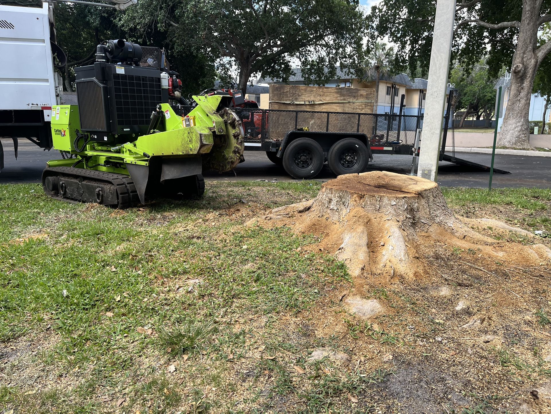 Carlton Stump Grinding 