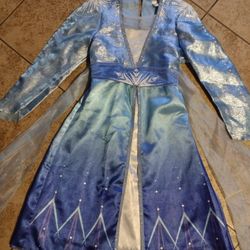 New Girls Disney Frozen Blue Silver Costume Dress 