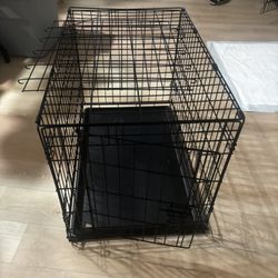Dog Kennel 