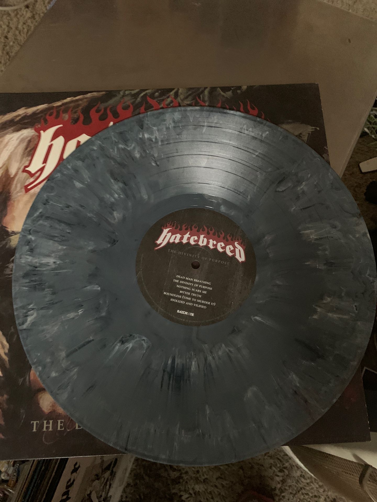 Hatebreed: The Divinity of Purpose Vinyl