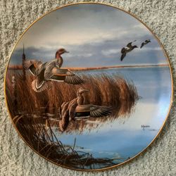 āFollow The Leaderā Duck Plate
