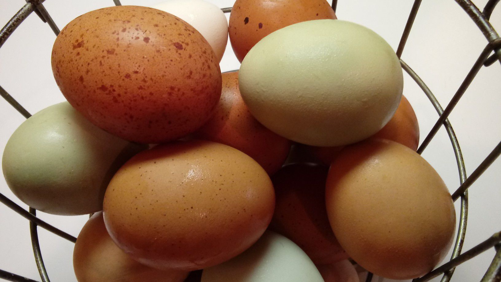 Fresh, Organic, Free Range Eggs