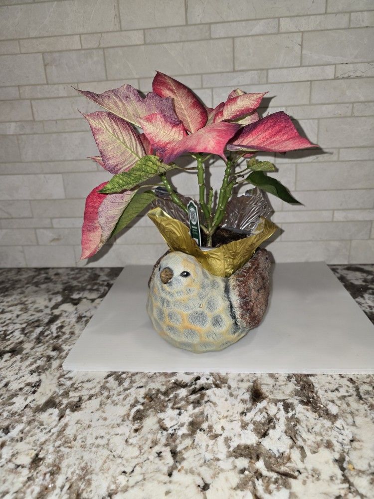 Cute Bird Shaped Plant Pot Holder