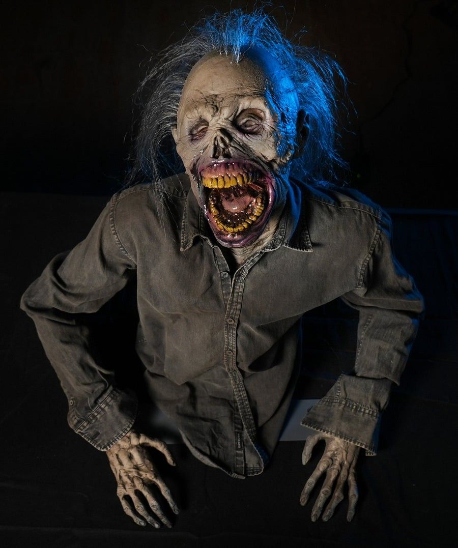 Lot of Professional Halloween Props & Animatronics