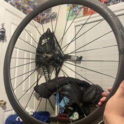 Carbon Rim