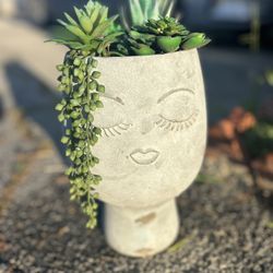 Face Planter Pot