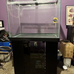 75 Gallon Fish Tank 