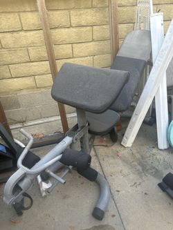 Preacher Curl Bench