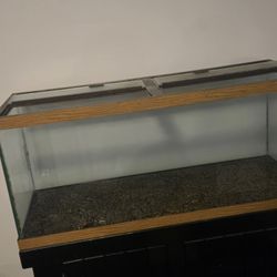 80 Gallon Aquarium with Stand 
