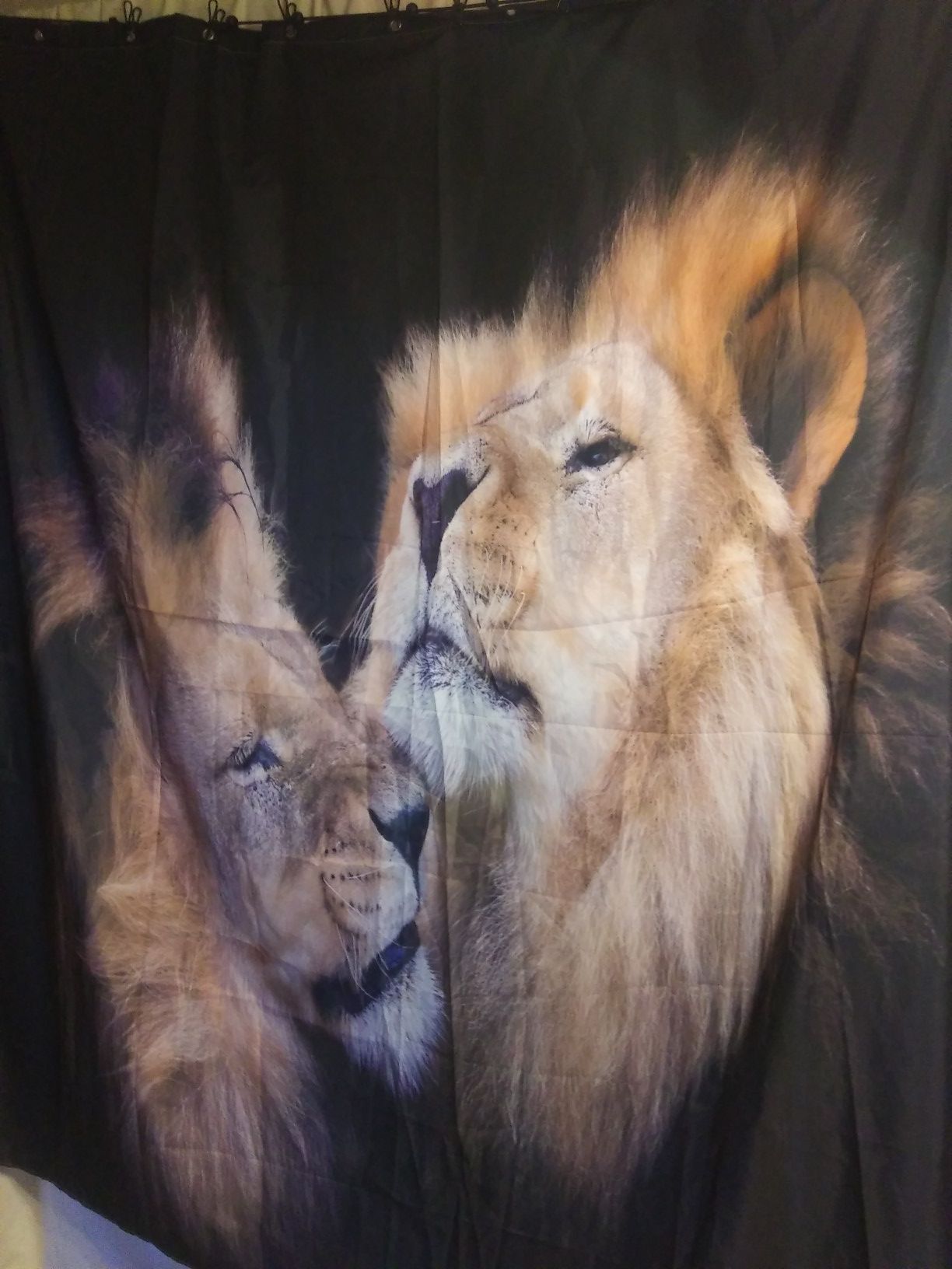 NEW SHOWER CURTAIN LIONS