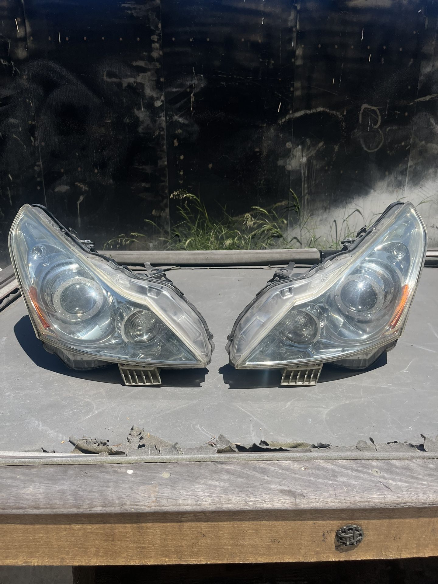 G37 Headlights