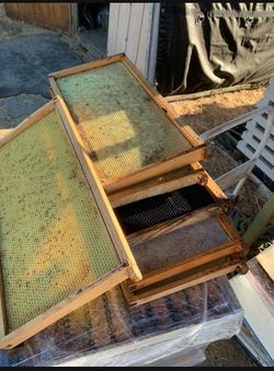 Bee frames