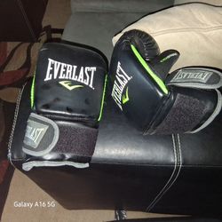 Everlast Boxing Gloves $10