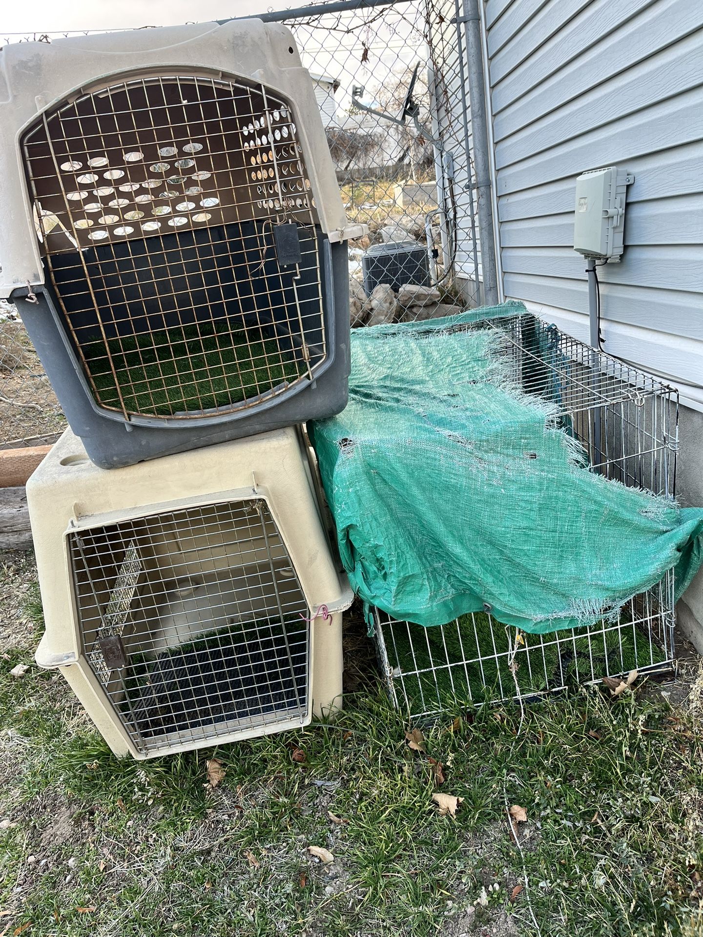 Dog Cages