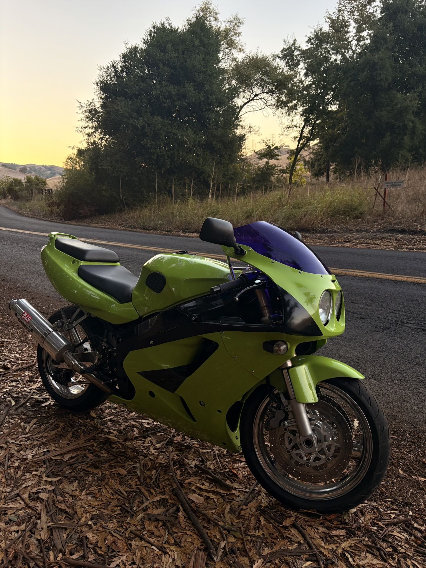 1995 Kawasaki Ninja