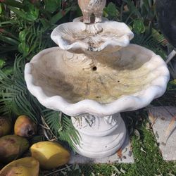 Bird Bath