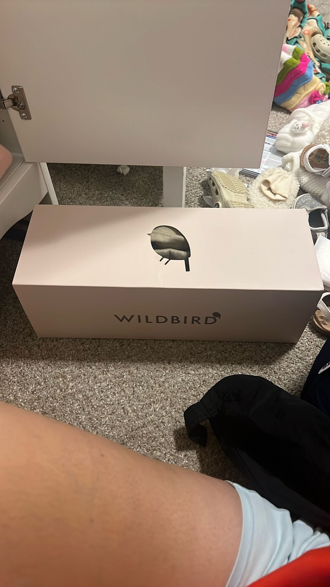 Wild Bird- Desert Lark - Aerial Carrier