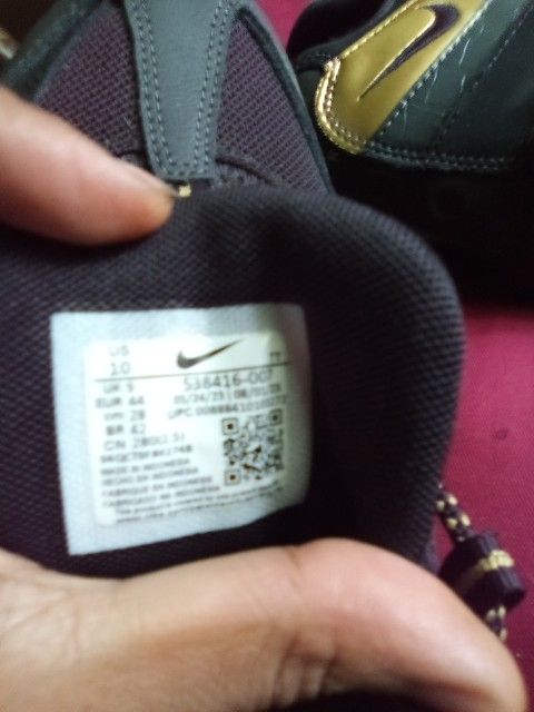 Men's Nike Air Max Shoe